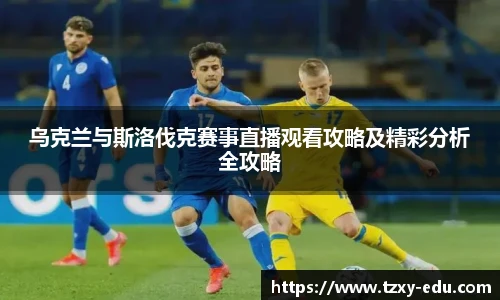 lejing乐