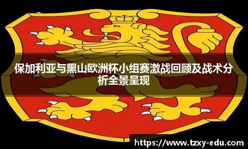 乐竟保加利亚与黑山欧洲杯小组赛激战回顾及战术分析全景呈现